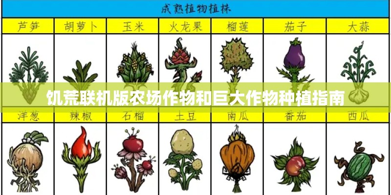 英语单词种花怎么写