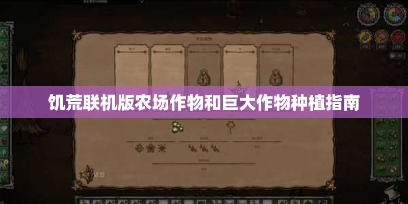 饥荒联机版农场作物和巨大作物种植指南