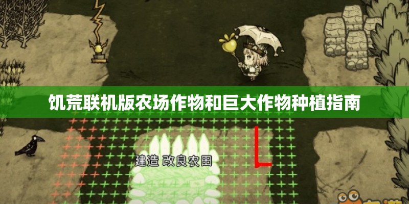 饥荒联机版农场作物和巨大作物种植指南