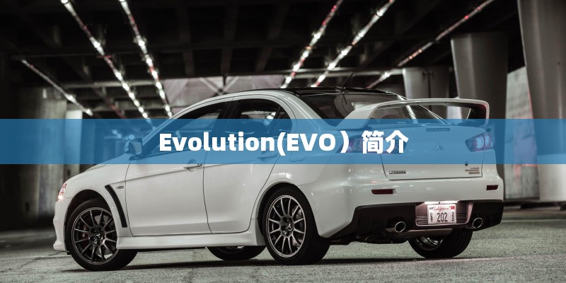 Evolution(EVO）简介