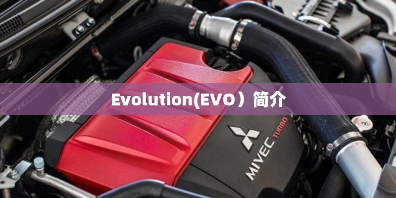 Evolution(EVO）简介