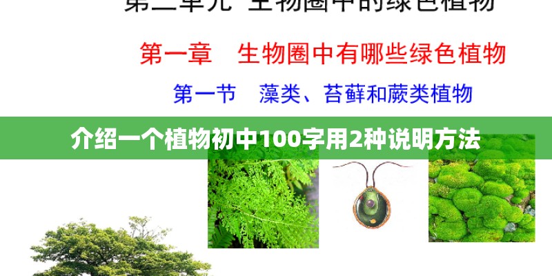 介绍一个植物初中100字用2种说明方法